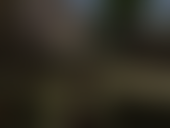 Gothic 2: New Balance - Aktualizace 21.7.2025