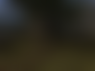 Gothic 2: Rozšířená Edice 2 - Aktuality: popis modifikace a nábor