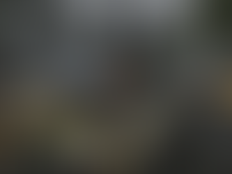 Gothic 2: New Balance - Update 6.8.2025