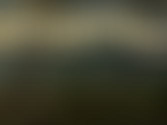 Gothic 2: Revisioned - Práce na modifikaci ve vývoji