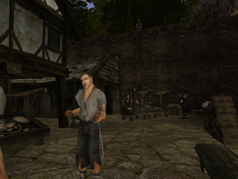 Gothic 2: Ze života zloděje - Český návod by swankestcz