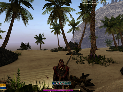 Gothic 2: New Balance - Aktualizace 30.8.2025 + Opravy v češtině