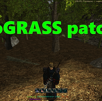 grass.png