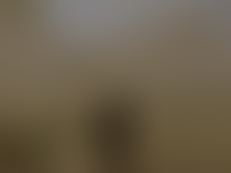 Gothic 2: New Balance - Update + New Installer
