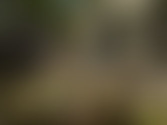 Gothic 2: New Balance - Update 11.8.2025 and 12.8.2025