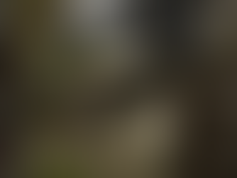 Gothic 1: Othello Mod - Informačka a chystaný patch 4.3