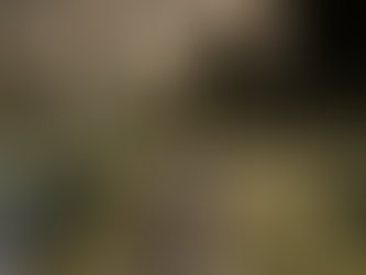 Gothic 1: Reworked – Summary of Mod and Translation Updates