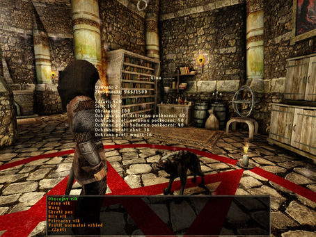 Gothic 2: New Balance – Customizable Appearance for Jina (Addon)