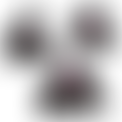 Chronicles of Myrtana: Archolos – Another Teaser from the Upcoming DLC