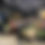Thumbnail: Fresh Wreath Making at Field Day on December 3rd