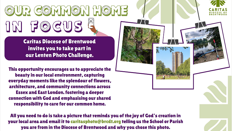 Our Common Home - in focus.png