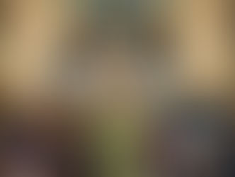 Remembrance Day Mass - 2024