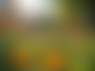 Regenerative vs Sustainable Practices What You Need to Know