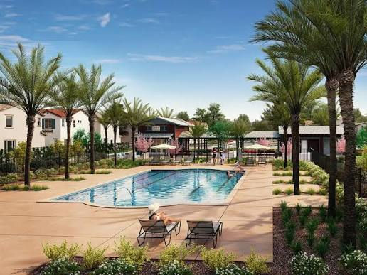 A pool surrounded by palm trees, children play in the pool while parents watch