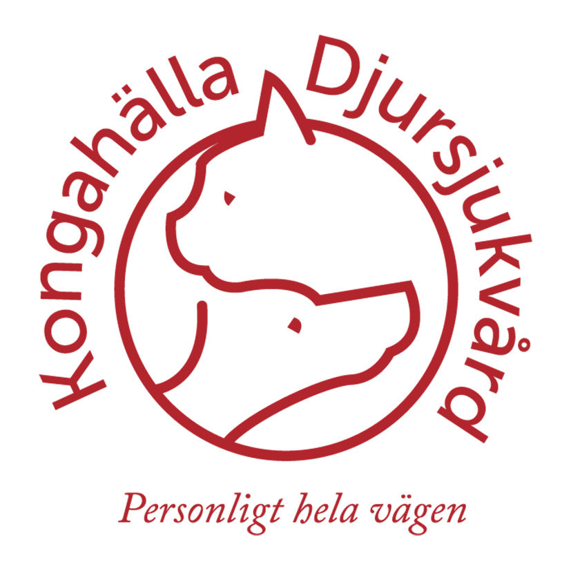 Kongahälla Djursjukvård: Personligt hela vägen