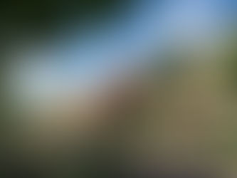 CoForma utvecklar 40 radhus och parhus i Västra Ingelstad, Vellinge