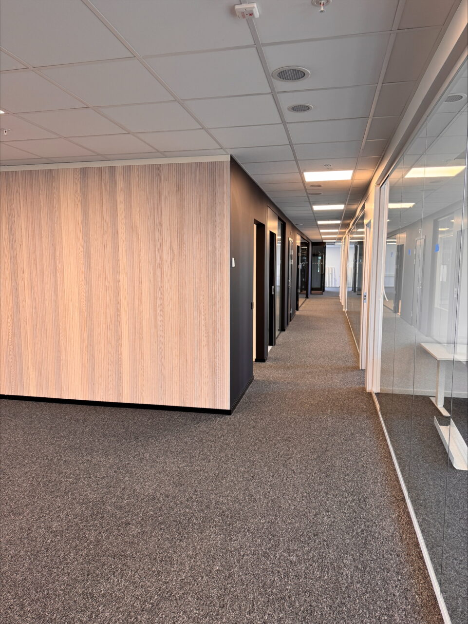 Processed Cd278f4b 347a 44d2 915f Ef8197947bbf