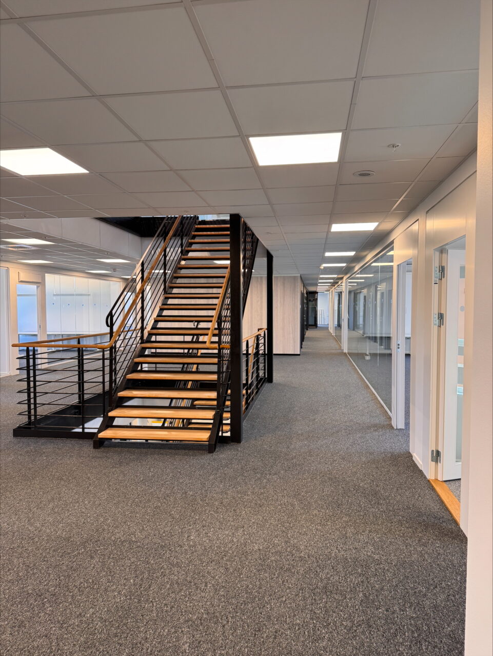 Processed Ac83ea84 3c4d 4a9a 8973 8a17bfc10ad7