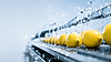 Lemons being washed on a food processing conveyor