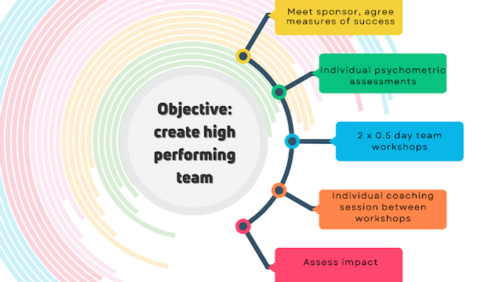 Sample components of high performing team programme showing team coaching and executive coaching