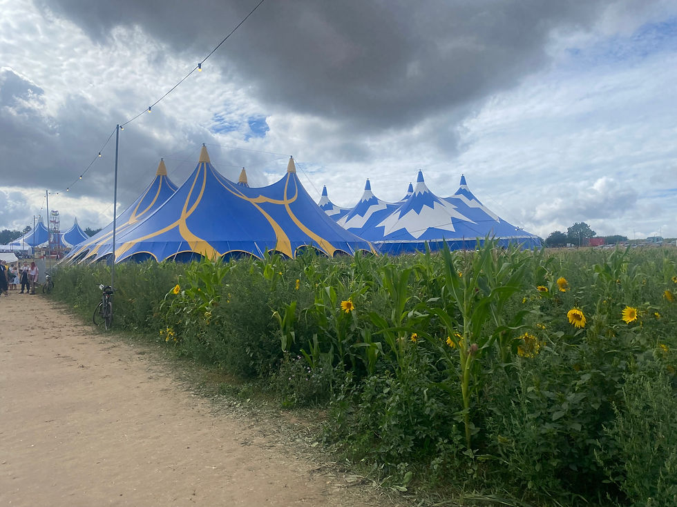Sunflower path into Vegan Camp Out
