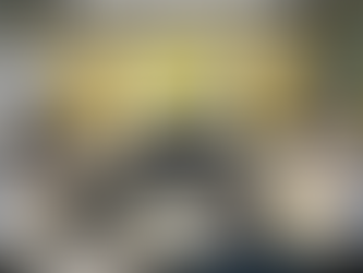 Conteúdo do treinamento Yellow Belt 16 hs