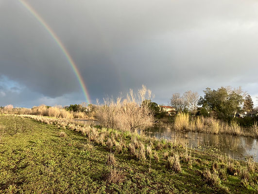 RGunn CSP Rainbow.jpeg