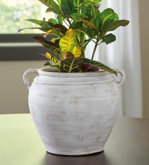 Meadie Vase