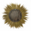Thumbnail: Brown Dried Plant Tribal Inspired Sunburst Grass
