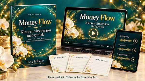 Money Flow digitale cursusbundel.jpg