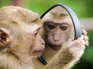 Niemand is objectief