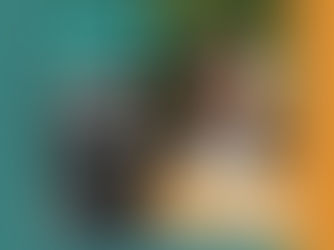 Het systeem kraakt, wat nu?