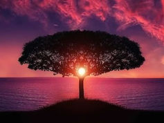 Purpose Challenge | 14 t/m 18 september 2026