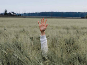 Je kop boven het maaiveld uitsteken, waarom is dat zo lastig?