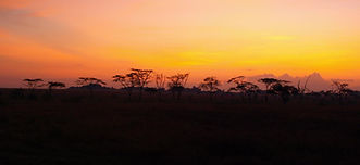 Tanzania Safari 016_edited.jpg