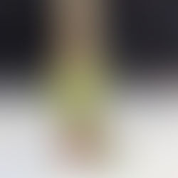 Holy Week - A Holy Walk Together