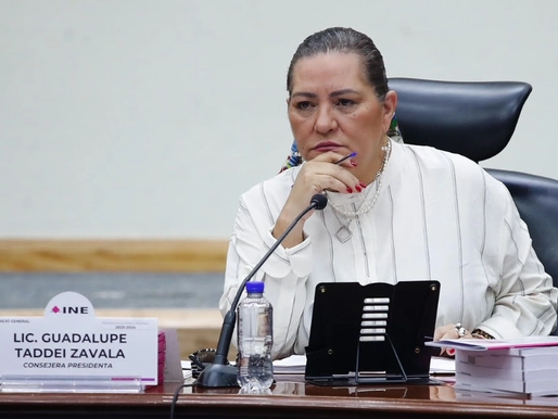 INE, listo para afrontar retos que vienen: Taddei