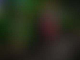 Se registra microsismo de magnitud 2.3 en la CDMX