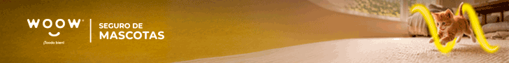 Anuncio_WOOW_728x90.gif