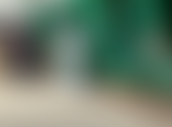 Se reactivan exportaciones de ganado bovino a EU