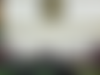 Ganador en Álvaro Obregón rebasó tope de gasto: INE