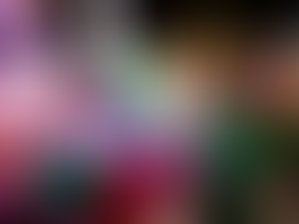 Inaugura Gobernador de Yucatán la Villa Navideña