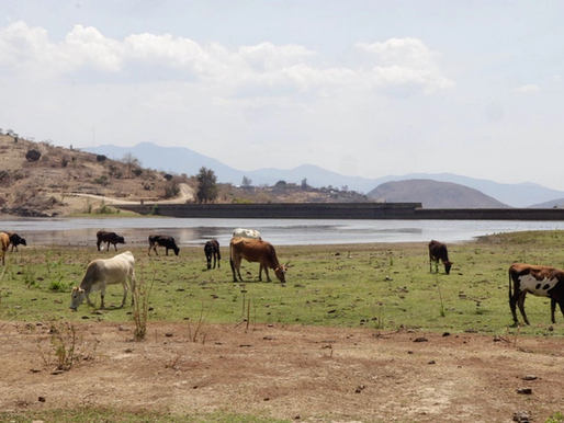 Crisis hídrica en Sinaloa; reportan presas al 15.9% de almacenamiento
