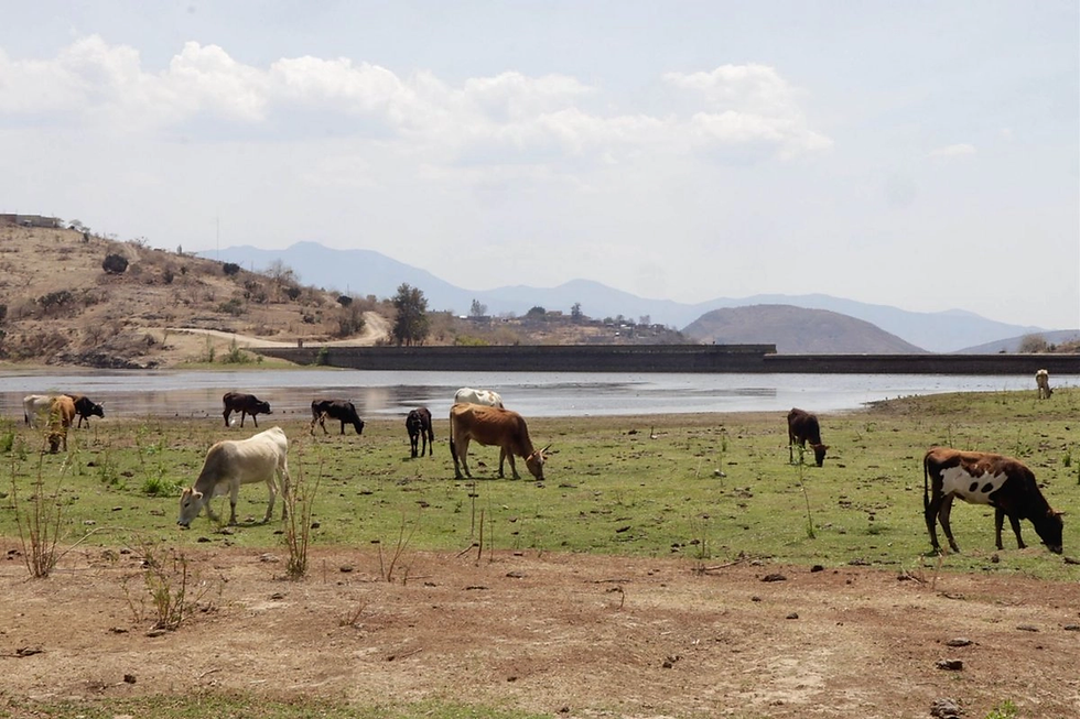 Crisis hídrica en Sinaloa; reportan presas al 15.9% de almacenamiento