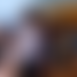 Estefanía Mercado atiende la problemática del sargazo con brigadas comunitarias en Playa del Carmen