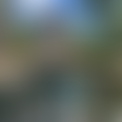 Reabre el INAH al público la zona arqueológica Muyil