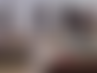 PAN critica performance con perros en Museo Tamayo y acusa a funcionarios de Morena de maltrato animal por propaganda