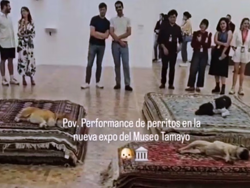 PAN critica performance con perros en Museo Tamayo y acusa a funcionarios de Morena de maltrato animal por propaganda