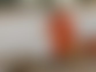 Topos mexicanos se suman en apoyo a damnificados de la tormenta DANA, en Valencia