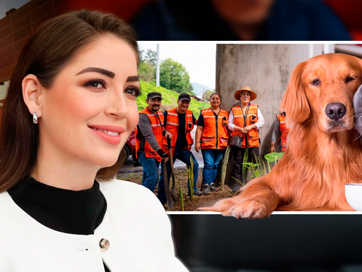 Jasmin Bugarín presenta iniciativa en el Senado para reforzar la protección ambiental y animal en México